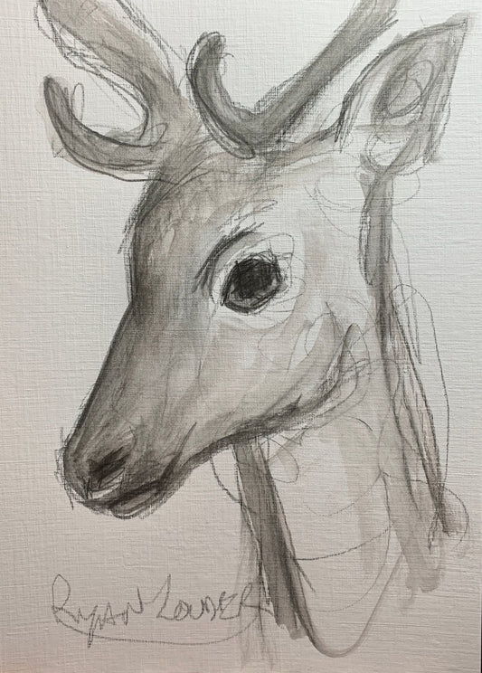 The Deer - Wildlife Drawing by Ryan  Louder - Sold