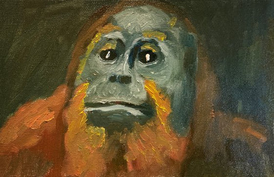 Orangutan Painting by Ryan Louder