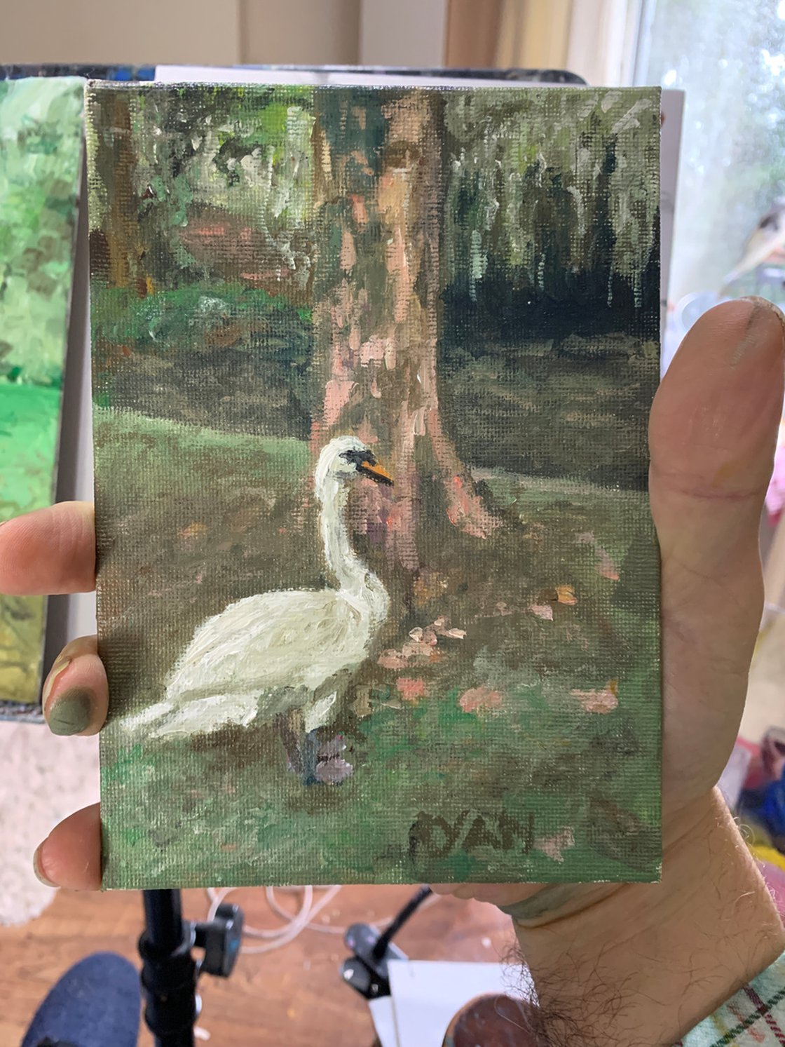 Swan In The Park by Ryan  Louder