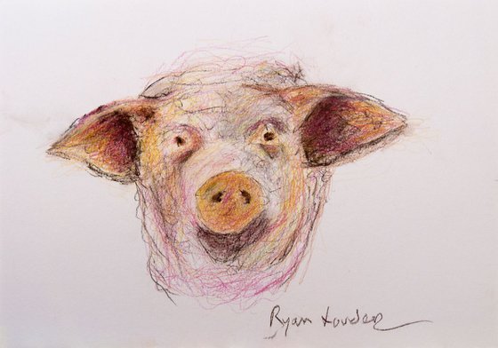 Pig Face Painting by Ryan Louder