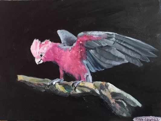 A painting titled 'Galah by Ryan  Louder' by Ryan Louder