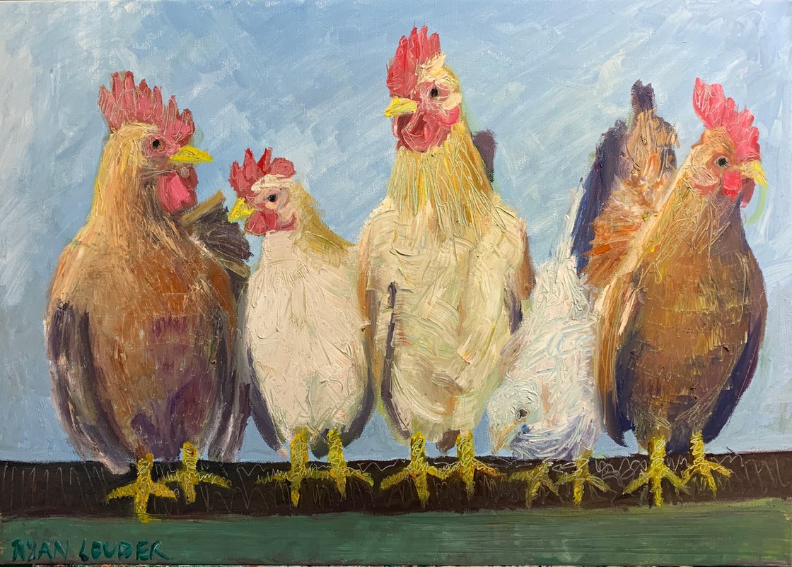 Chickens by Ryan  Louder