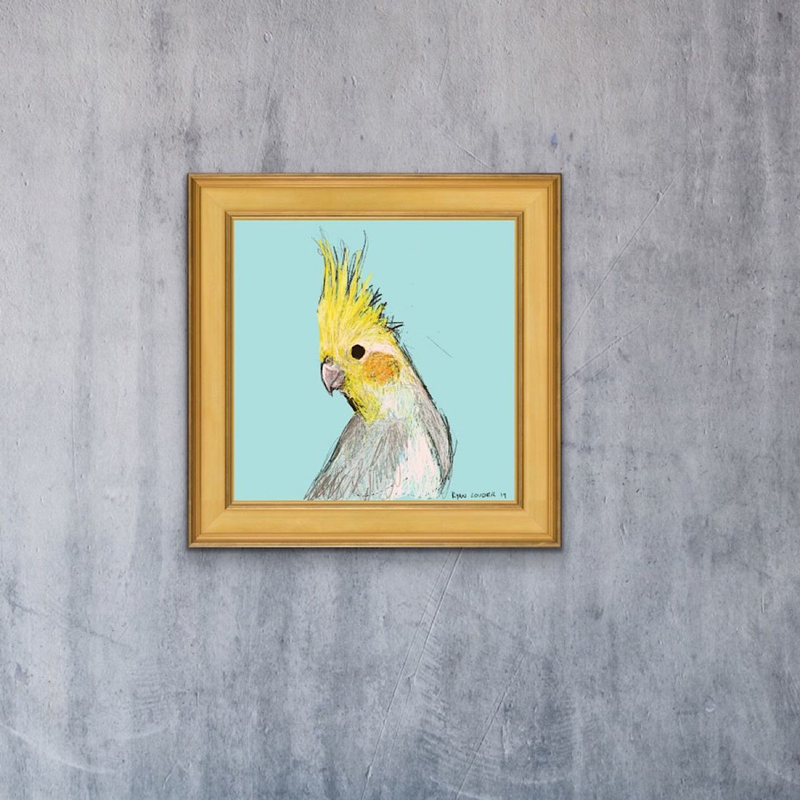 A painting titled 'Cockatiel 12x12 limited edition by Ryan  Louder' by Ryan Louder