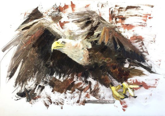 Eagle Study Painting by Ryan Louder