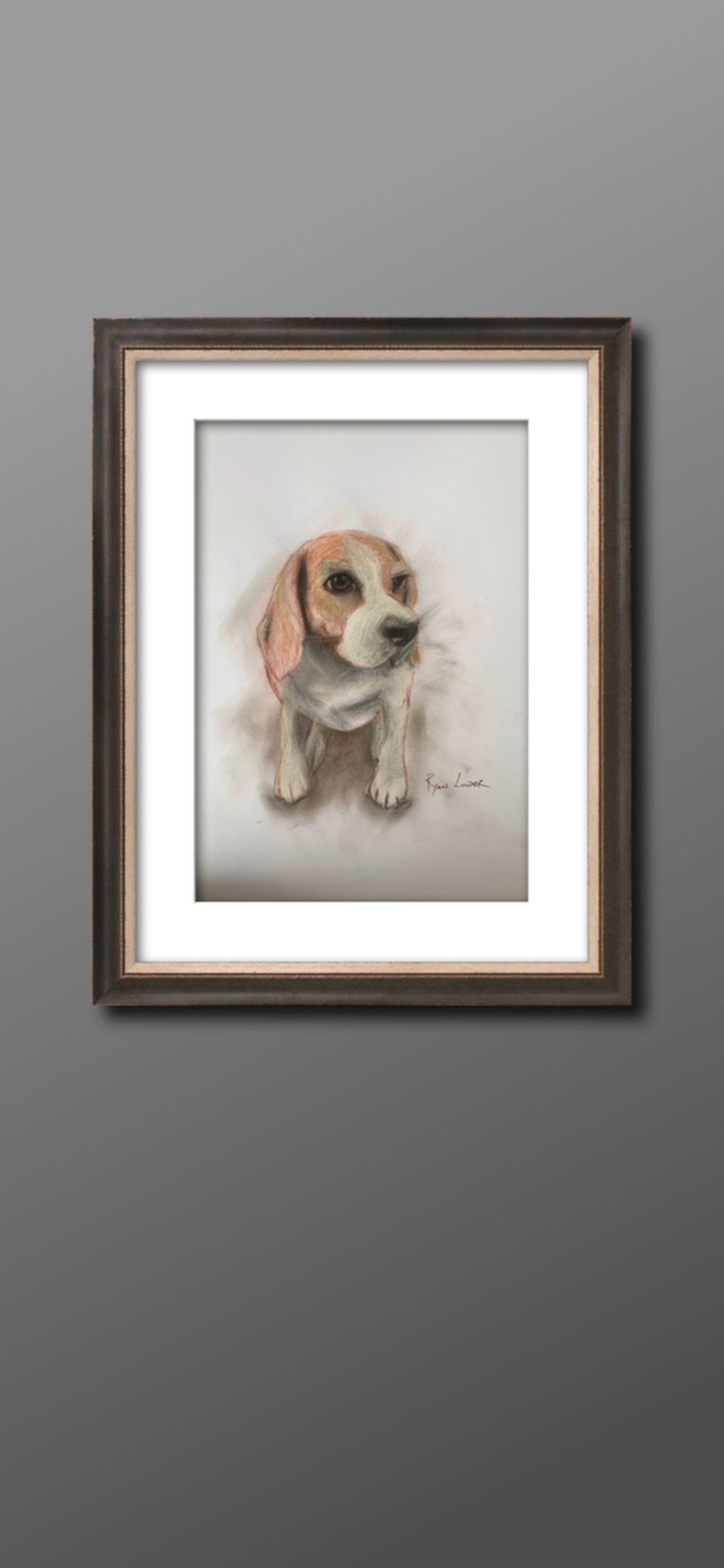 Shy Beagle by Ryan  Louder - Sold