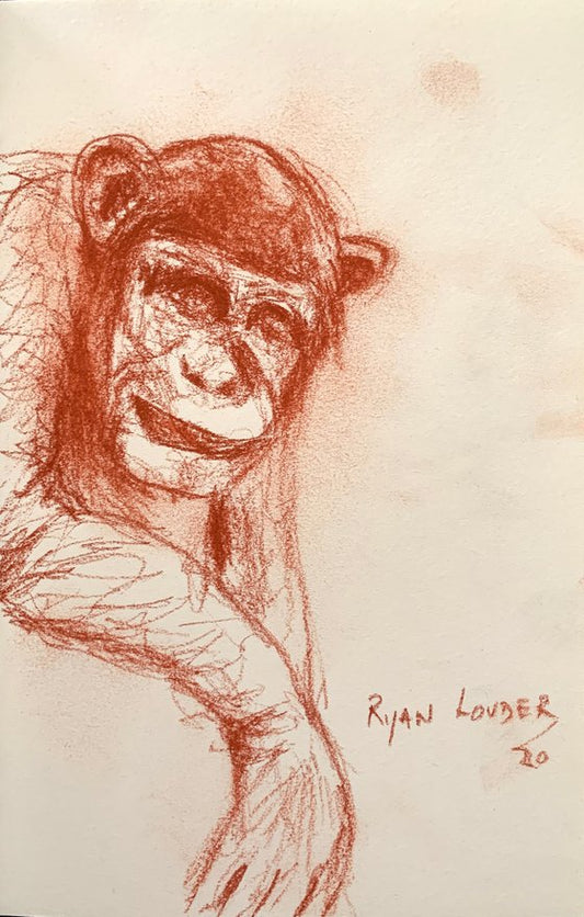 Chimpanzee Study - wildlife drawing Painting by Ryan Louder