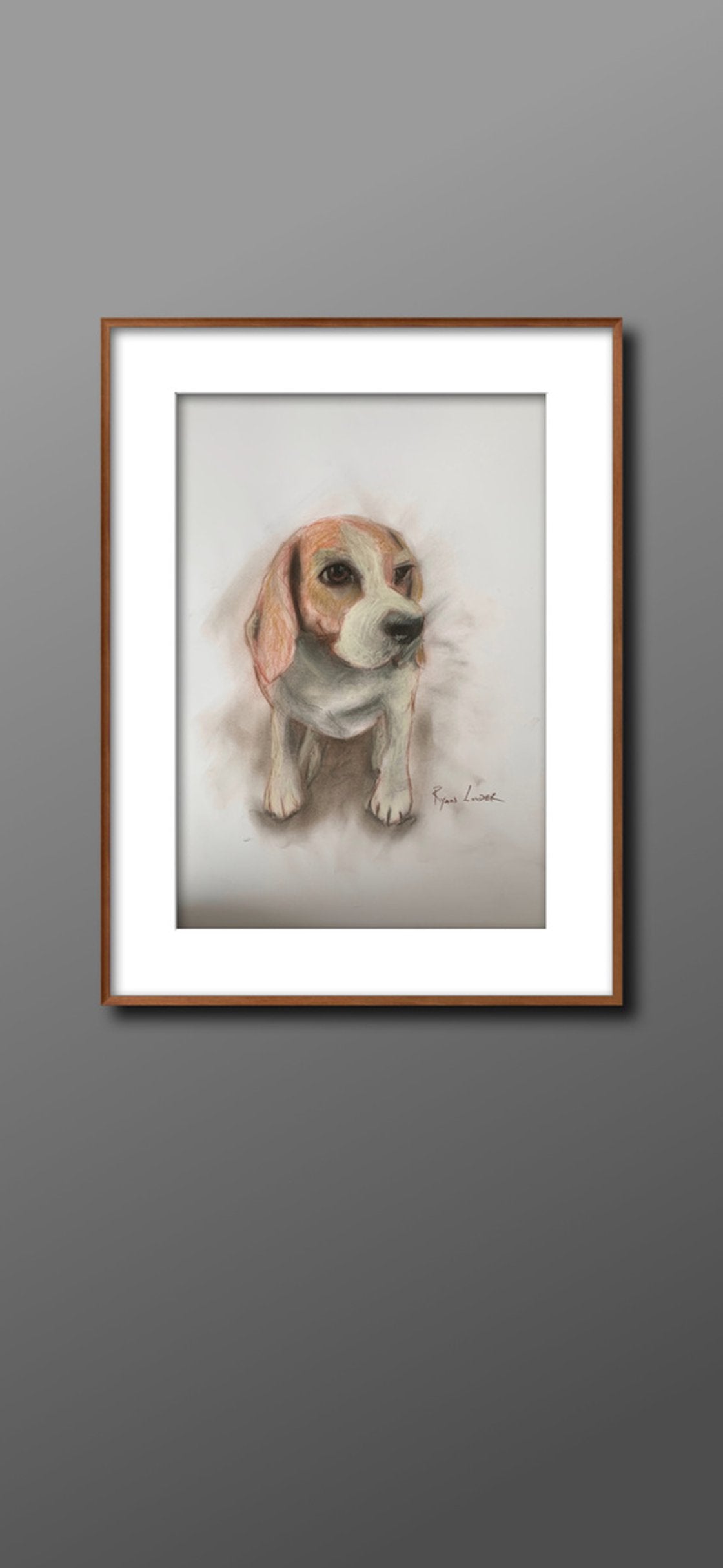 Shy Beagle by Ryan  Louder - Sold