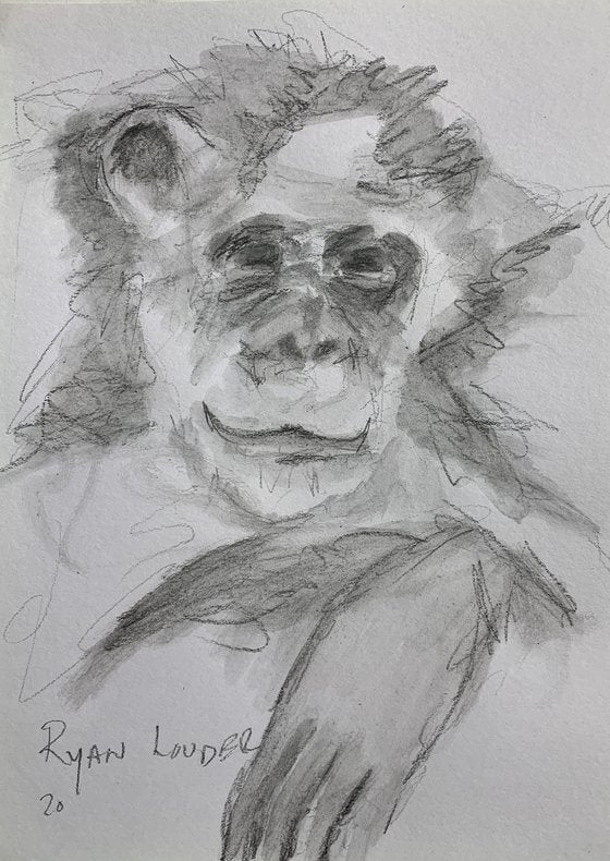 Scruffy Chimpanzee Painting by Ryan Louder