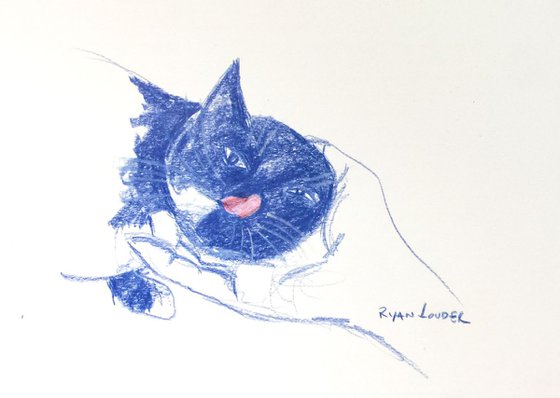 small cat picture Painting by Ryan Louder