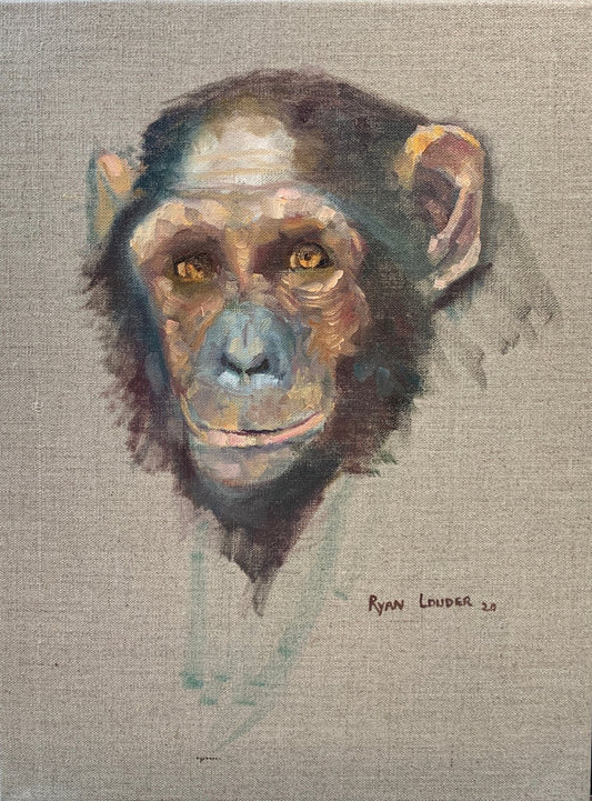 Chimpanzee by Ryan  Louder - Sold