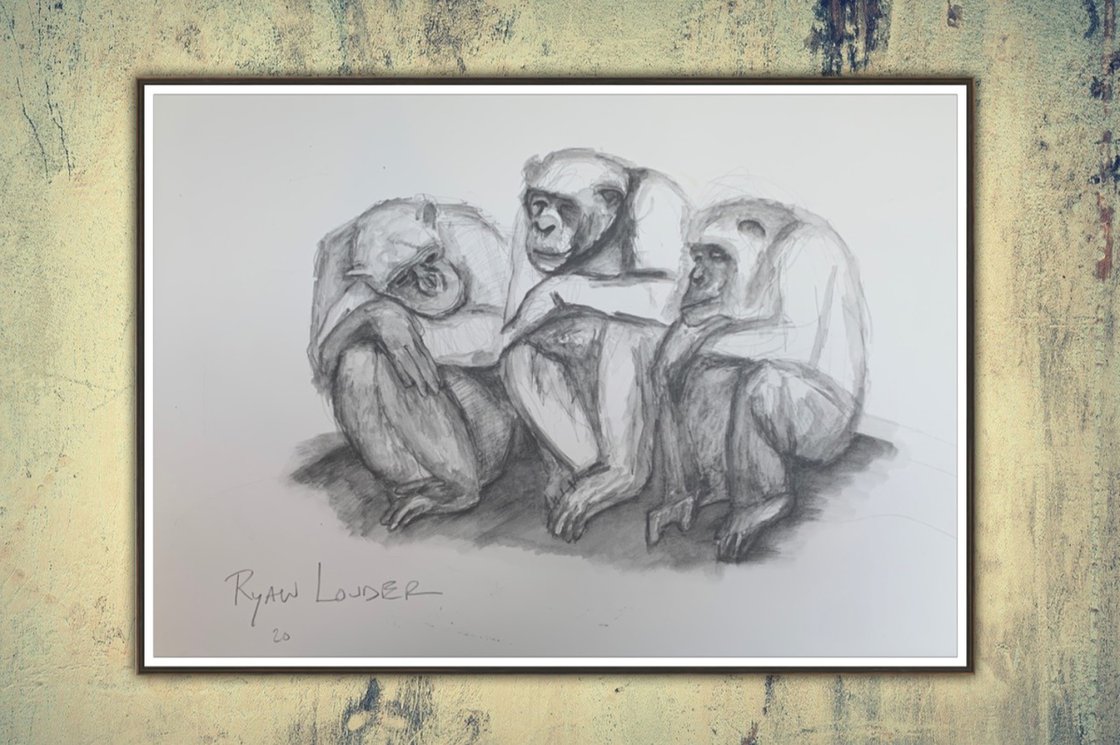 A painting titled 'Three Chimpanzees 14x18  Wildlife Artwork by Ryan  Louder' by Ryan Louder
