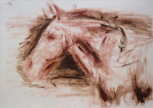 Horse Sketch Study by Ryan  Louder - Sold