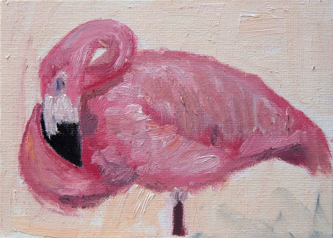 Flamingo Painting - Flamingos Sleeping 3 - Bird painting - Flamingo Wall Art by Ryan  Louder - Sold